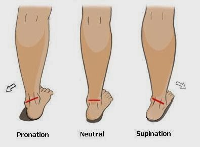 Appoggio supinatore sales